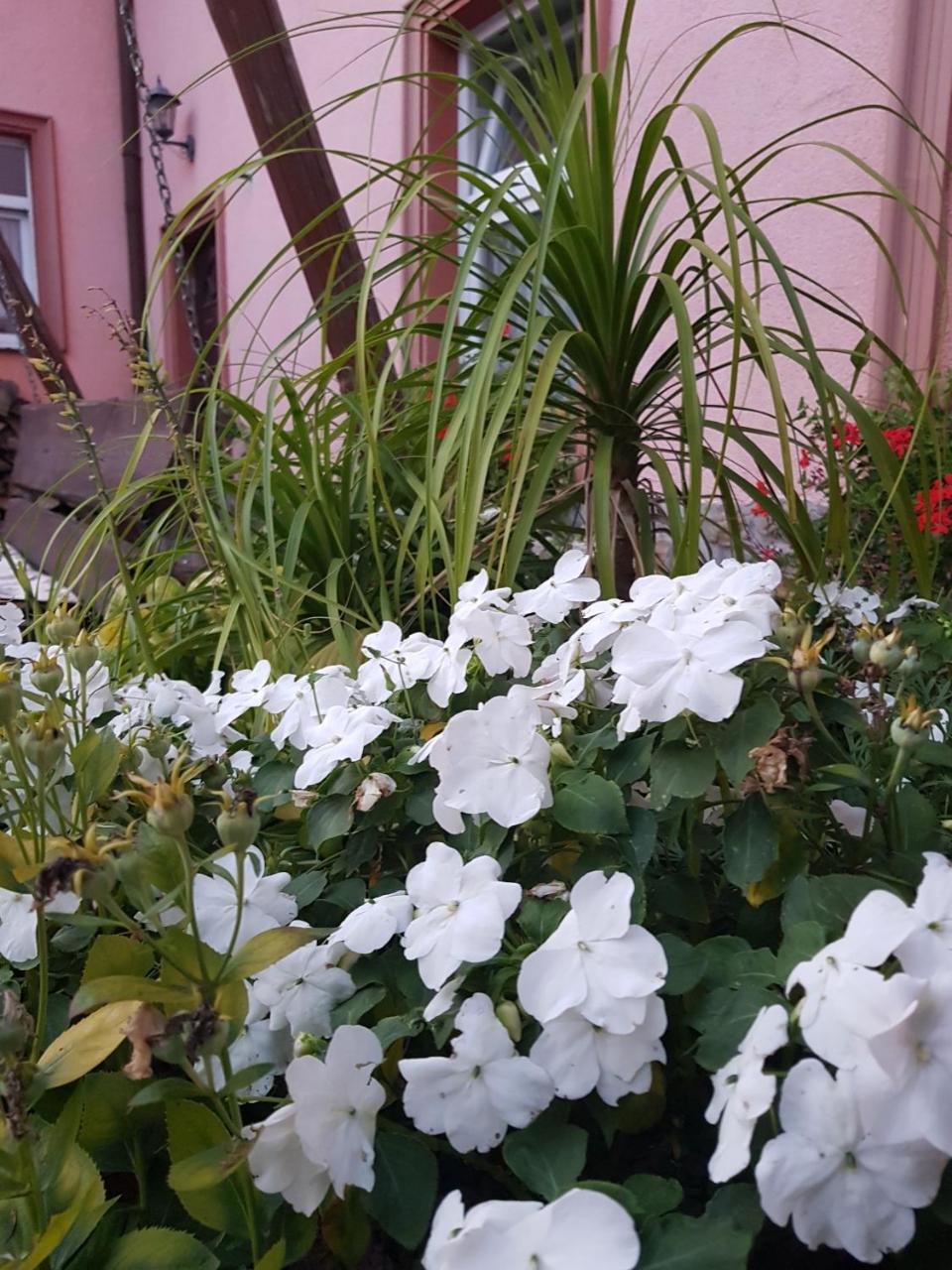 Hotel Zaulek Luban Exterior foto